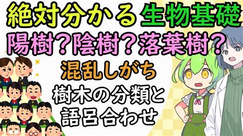 陰陽木|陰樹の特徴と陽樹の特徴 違いも解説 – 庭師の独り言